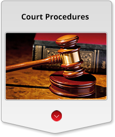 Court procedures