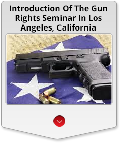 introduction-of-the-gun-rights